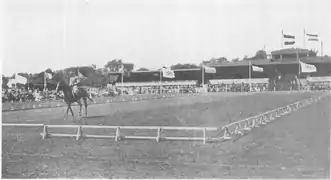 Le suisse W. Gerber sur le rectangle de dressage au stade d'Hilversum.