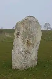 Pierre Plate de la Pochetière