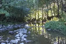Après le clapet de la Motte.