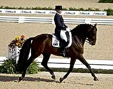 Dressage.
