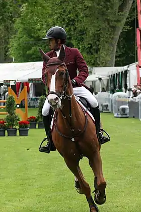 Image illustrative de l’article Faleh Suwead Al Ajami