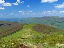 Carpates orientales extérieures en Pologne (Bieszczady-Poloniny).
