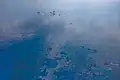 Une marée noire en mer.