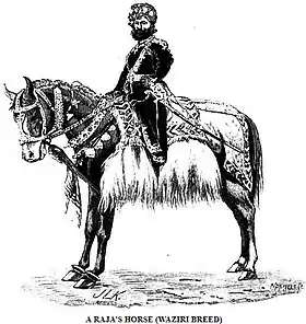 Cheval Waziri d'après John Lockwood Kipling (1891)