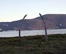Allée des baleines.