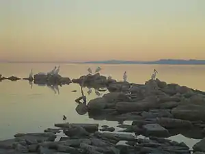 Image illustrative de l’article Salton Sea