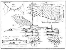 Croquis légendé en allemand
