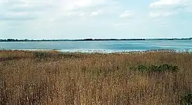 Image illustrative de l’article Lac Łuknajno