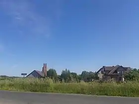 Czosnówka