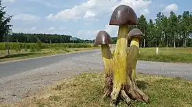 Krzywczyce