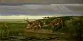 Deer on the Prairie, 1884, Buffalo Bill Center of the West (en)