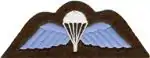 Parachutist Badge.