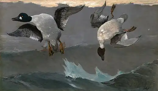 Right and Left, 1909, National Gallery of Art, Washington DC.