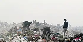 Image illustrative de l’article Décharge de Ghazipur