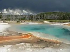 Bassin thermal près de Grand Prismatic Spring.