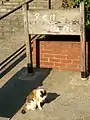夕やけだんだん