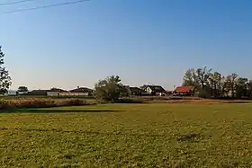 Zaječice