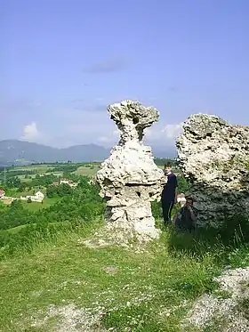 Les ruines de la forteresse de Prusac