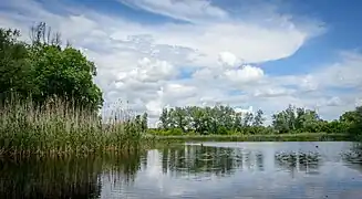 La plaine inondable de la Psla classée.