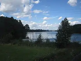 Zełwągi