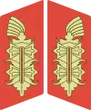 Image illustrative de l’article General der Infanterie