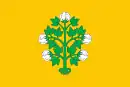 Drapeau de Bormla - Città Cospicua