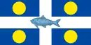 Drapeau de Fortune