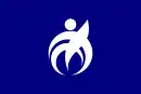 Drapeau de Ichikawamisato-chō