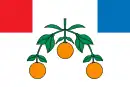 Drapeau de Lija