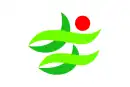 Drapeau de Nantan-shi