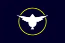 Drapeau de Tatsugō-chō