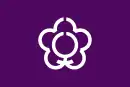 Drapeau de Tenri-shi