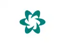 Drapeau de Tsushima-shi