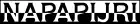 logo de Napapijri