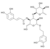 Image illustrative de l’article Verbascoside