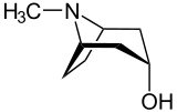 Image illustrative de l’article Tropine