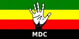 Image illustrative de l’article Mouvement pour le changement démocratique – Tsvangirai