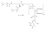 Image illustrative de l’article Pegaptanib