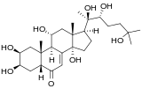 Image illustrative de l’article Turkestérone