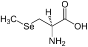 Image illustrative de l’article Méthylsélénocystéine