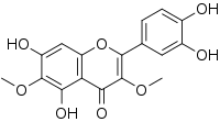 Image illustrative de l’article Axillarine