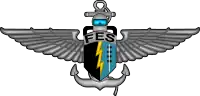 Image illustrative de l’article Fuerzas Especiales