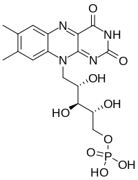 Image illustrative de l’article Flavine mononucléotide