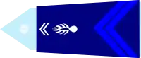 Image illustrative de l’article Brigadier (Gendarmerie française)