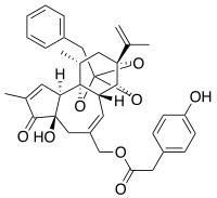 Image illustrative de l’article Tinyatoxine