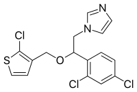 Image illustrative de l’article Tioconazole
