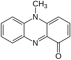 Image illustrative de l’article Pyocyanine