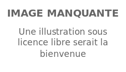 Image illustrative de l’article Julie Raynaud