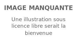 Image illustrative de l’article Patrick Baldwin Jr.