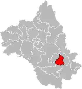 Canton de Millau-1